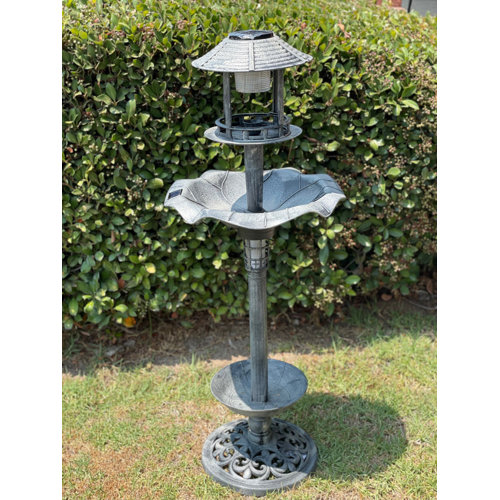 Wayfair Plastic & Acrylic Bird Baths You'll Love in 2023